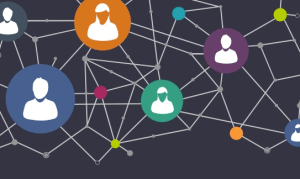 build it & they will come